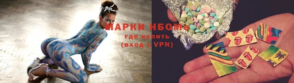 прущие грибы Приозерск