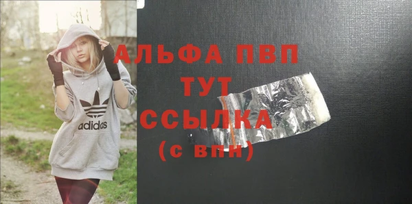 хмурый Абаза