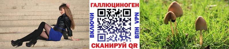 Галлюциногенные грибы Magic Shrooms  что такое   Богданович 